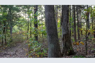 5400 Nolting Road, French Village, MO 63036 - Photo 55