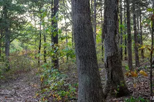 5400 Nolting Rd, French Village, MO 63036 - Photo 55