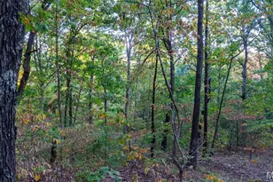 5400 Nolting Rd, French Village, MO 63036 - Photo 59