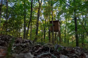 5400 Nolting Rd, French Village, MO 63036 - Photo 57