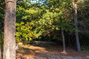 5400 Nolting Rd, French Village, MO 63036 - Photo 39