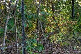 5400 Nolting Rd, French Village, MO 63036 - Photo 35