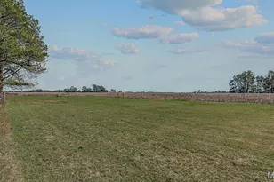 1254 State Hwy F, Cardwell, MO 63829 - Photo 29