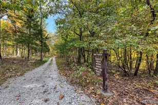 353 Callaway Ridge Dr, Defiance, MO 63341 - Photo 63