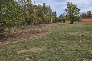 1 Main Street & Pine St, Arcadia, MO 63621 - Photo 3