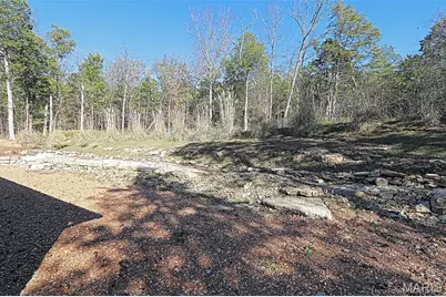 810 Charmaine Drive, Bonne Terre, MO 63628 - Photo 23