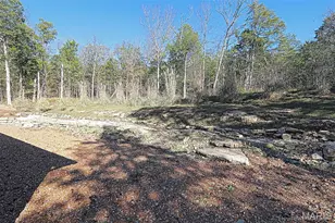 810 Charmaine Dr, Bonne Terre, MO 63628 - Photo 23