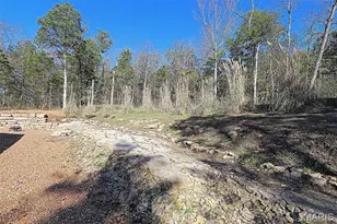 810 Charmaine Dr, Bonne Terre, MO 63628 - Photo 31