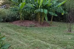 7564 Riffle Island Dr, Cedar Hill, MO 63016 - Photo 69