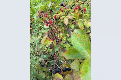 0 State Route 21, De Soto, MO 63020 - Photo 7