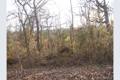 100 Kennett Street, De Soto, MO 63020 - Photo 1