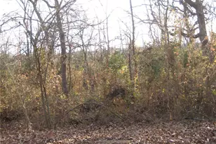 100 Kennett St, De Soto, MO 63020 - Photo 1
