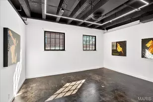 1034 S Kings Highway Blvd, Saint Louis, MO 63110 - Photo 57