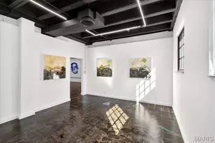 1034 S Kings Highway Blvd, Saint Louis, MO 63110 - Photo 59