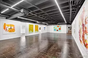 1034 S Kings Highway Blvd, Saint Louis, MO 63110 - Photo 55