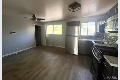 10201 Doane Drive, Saint Louis, MO 63136 - Photo 3