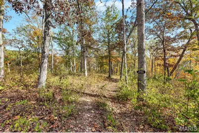 353 Callaway Ridge Drive, Defiance, MO 63341 - Photo 43