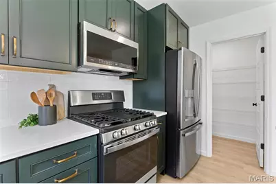 2 Sterling At Louiselle Park, Maryland Heights, MO 63146 - Photo 19