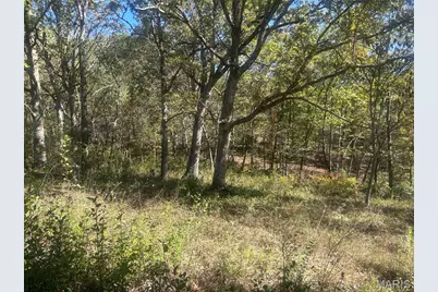 5546 Dry Branch Road, Saint Clair, MO 63077 - Photo 7