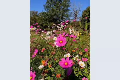 6 Cindy Drive, Luebbering, MO 63061 - Photo 35