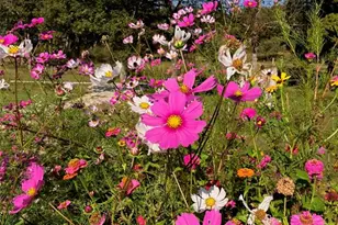 6 Cindy Dr, Luebbering, MO 63061 - Photo 35