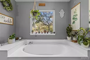 9525 E Vista Dr, Hillsboro, MO 63050 - Photo 41