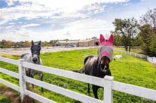 24606 Pike 248, Louisiana, MO 63353 - Photo 81