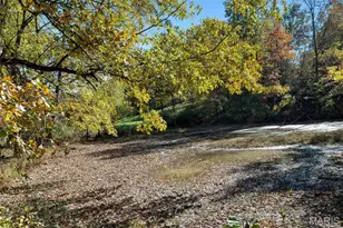 42 Windam Pl Dr, Unincorporated, MO 63304 - Photo 19