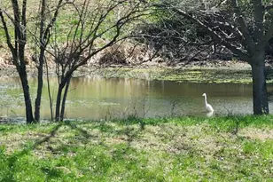 42 Windam Pl Dr, Unincorporated, MO 63304 - Photo 61