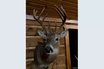 0 County Road 1130, Weldon Spring, MO 65793 - Photo 27