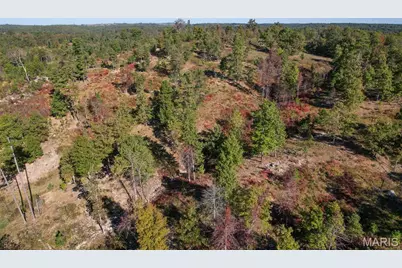 0 County Road 1130, Weldon Spring, MO 65793 - Photo 3