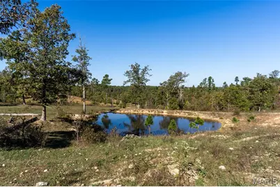 0 County Road 1130, Weldon Spring, MO 65793 - Photo 11