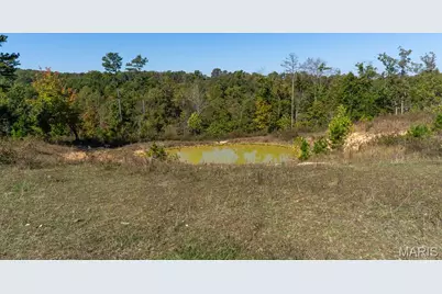 0 County Road 1130, Weldon Spring, MO 65793 - Photo 19