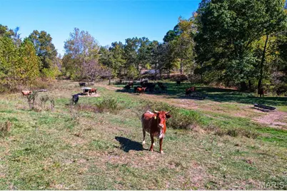 0 County Road 1130, Weldon Spring, MO 65793 - Photo 25