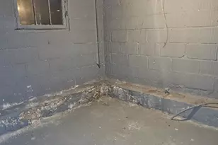 9422 Chester Ave, Woodson Terrace, MO 63114 - Photo 19