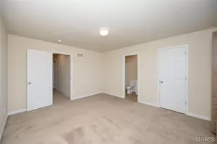 324 Savannah Terrace, Wentzville, MO 63385 - Photo 31