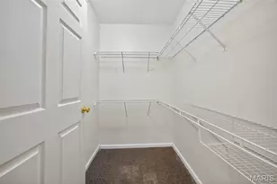 9100 Spring Creek Ln, O'Fallon, MO 63368 - Photo 21