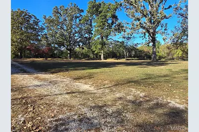 1978 Old Highway 60, Birch Tree, MO 65438 - Photo 85