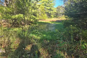 1978 Old Hwy 60, Birch Tree, MO 65438 - Photo 59