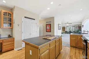 10534 Eagles Nest Dr, Hillsboro, MO 63050 - Photo 49