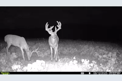 0 Highway D - Tract 6 (22+/- Acres), Eolia, MO 63344 - Photo 19