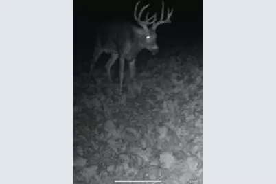 0 Highway D - Tract 6 (22+/- Acres), Eolia, MO 63344 - Photo 25