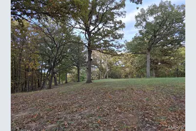 0 Highway D - Tract 6 (22+/- Acres), Eolia, MO 63344 - Photo 13