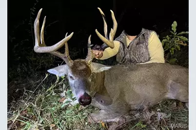 0 Highway D - Tract 6 (22+/- Acres), Eolia, MO 63344 - Photo 5