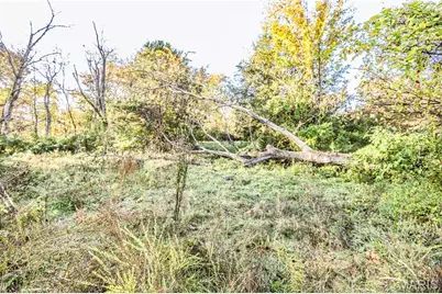 4591 Highway W, House Springs, MO 63051 - Photo 5