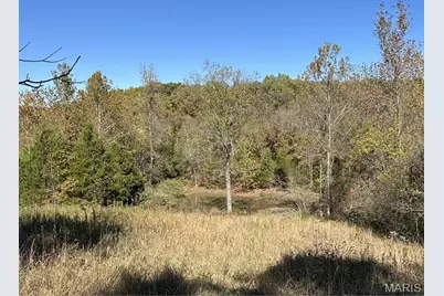 303 Bird Song Lane, Saint Clair, MO 63077 - Photo 13