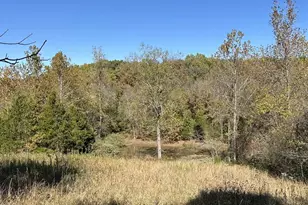 303 Bird Song Ln, Saint Clair, MO 63077 - Photo 13