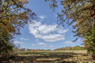 207 Good News Ln, Cuba, MO 65453 - Photo 41