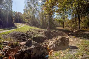 207 Good News Ln, Cuba, MO 65453 - Photo 3