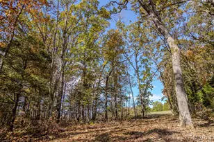 207 Good News Ln, Cuba, MO 65453 - Photo 39